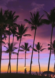 有偿（换妻，高H）