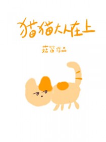 猫猫大人在上
