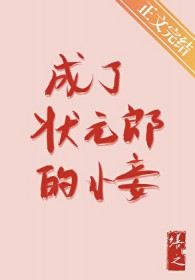 成了状元郎的小妾