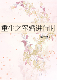 重生之军婚进行时